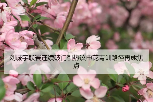 刘诚宇联赛连续破门引热议申花青训路径再成焦点